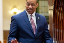 Asia Carrera Wikipedia