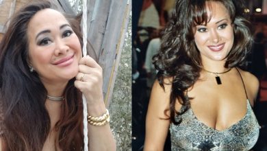 Asia Carrera Wikipedia