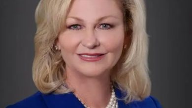 Michael Barisone Wikipedia